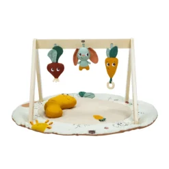 Speelkleed Luxe Gymini Garden of Adventures