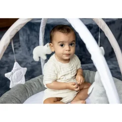 Speeltapijt activiteiten Baby Gym Penguin and Friends 0m+