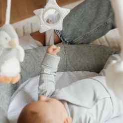 Speeltapijt activiteiten Baby Gym Penguin and Friends 0m+