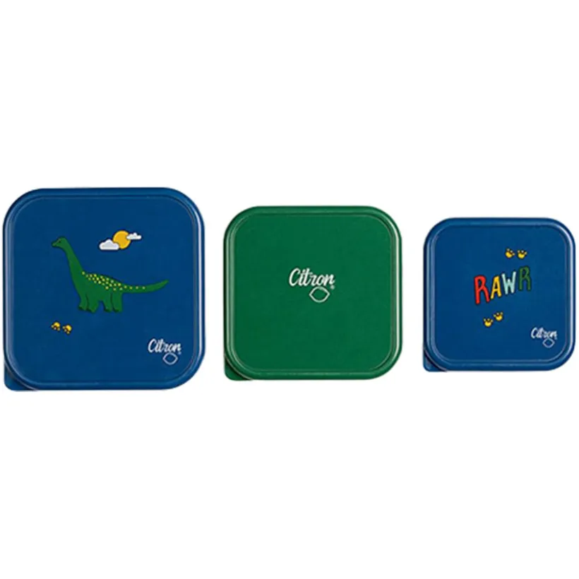 Stapelbare lunchbox van roestvrij staal 3STKS Blue Dino