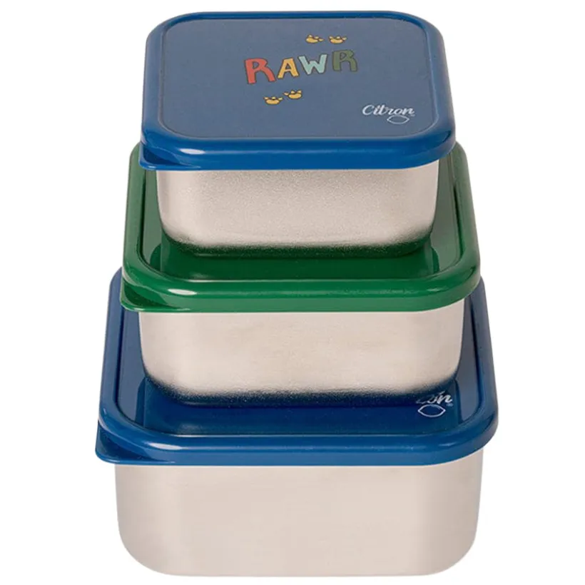Stapelbare lunchbox van roestvrij staal 3STKS Blue Dino