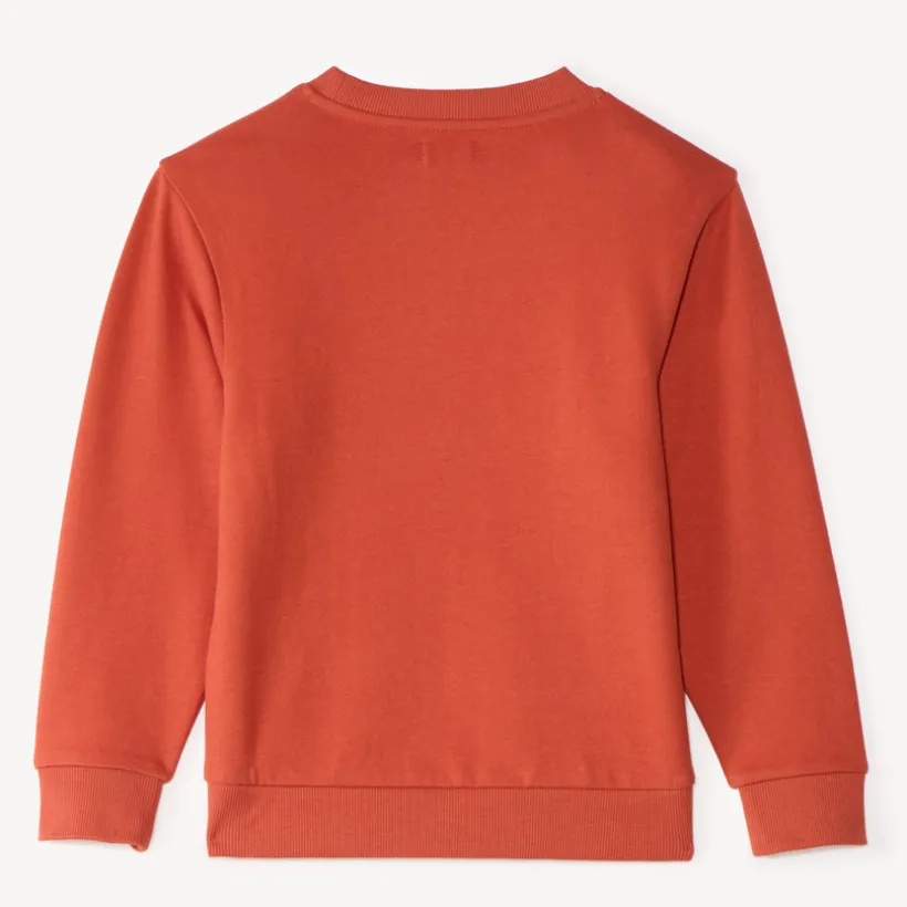 Sweat jongens van eenkleurig fleece