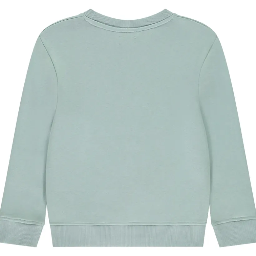 Sweatshirt fleece print "NY city" voor jongen