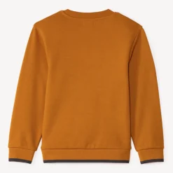Sweatshirt in fleece met doorgestikt dierenpatroon jongens