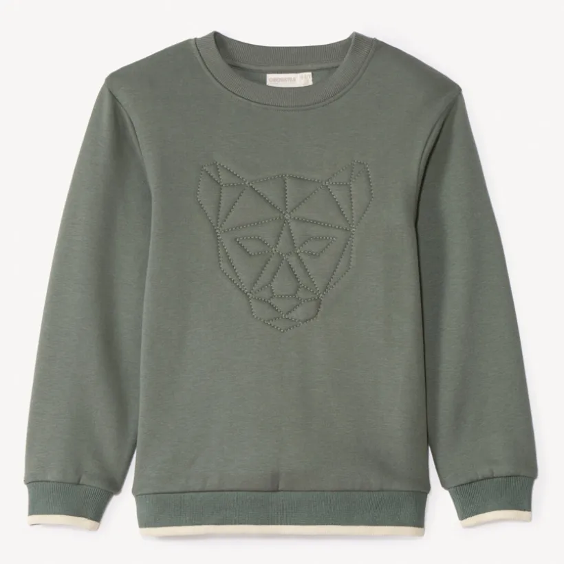 Sweatshirt in fleece met doorgestikt dierenpatroon jongens