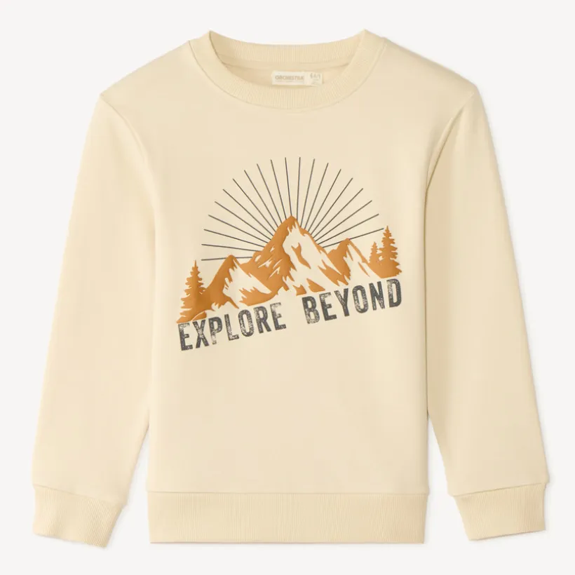 Sweatshirt met fantasiedruk jongens
