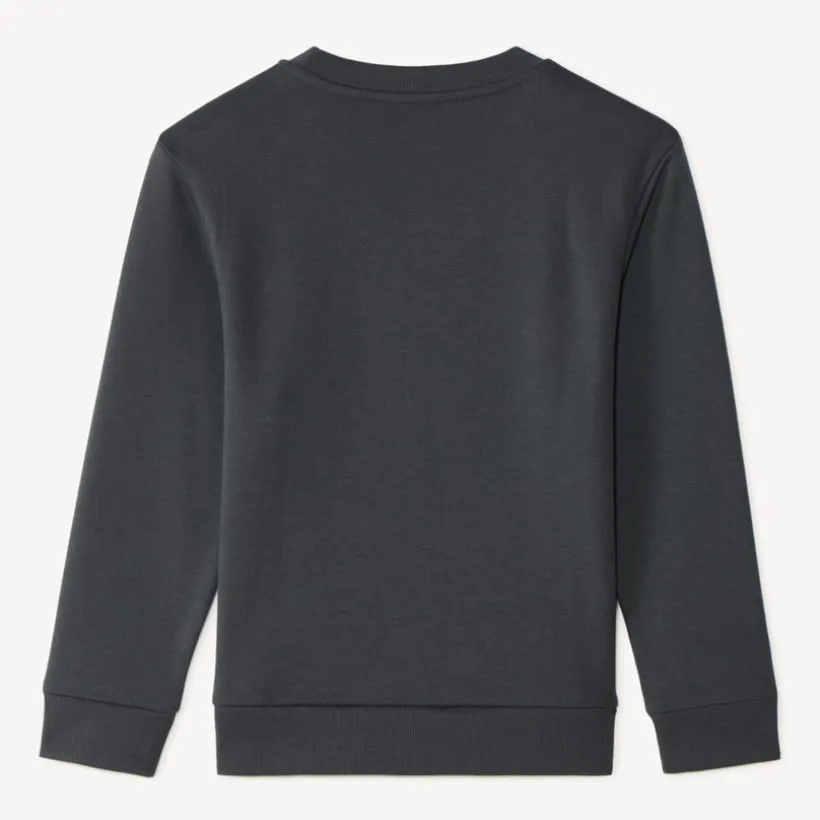 Sweatshirt met fantasiedruk jongens