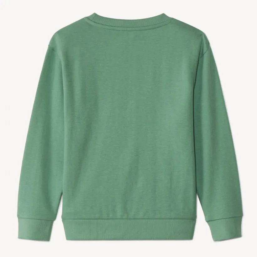 Sweatshirt van fleece met fantasieprint jongens