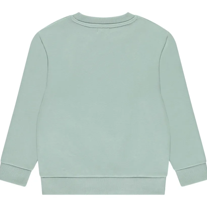 Sweatshirt van fleece met fantasieprint jongens