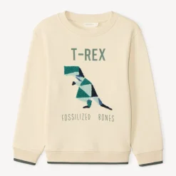 Sweatshirt van fleece met gekleurde lusborduursels jongens