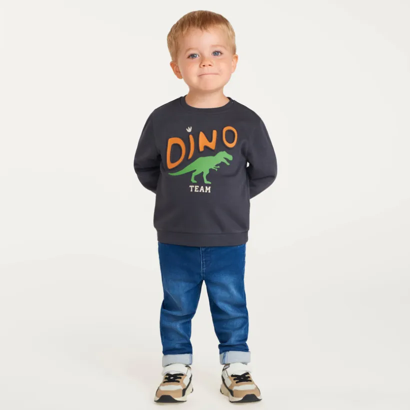 Sweatshirt voor baby jongens met fantasieprint