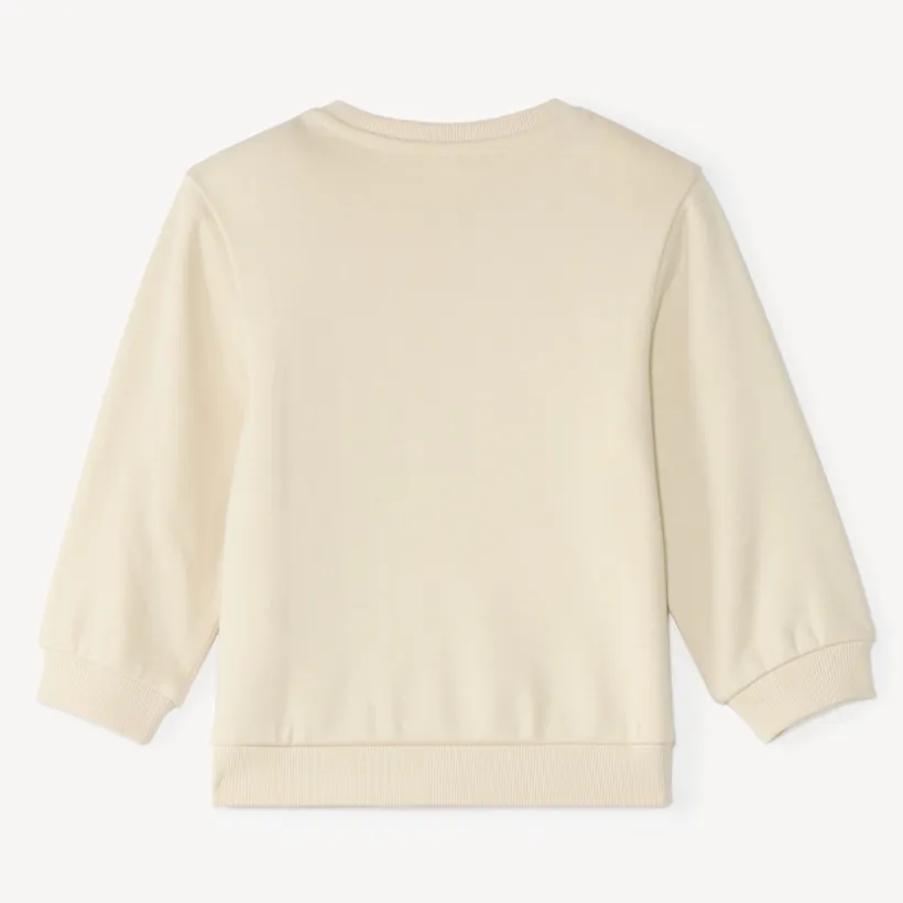 Sweatshirt voor baby jongens met fantasieprint