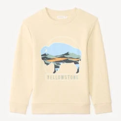 Sweat voor jongens in textuurgebreide stof met fantasieprint
