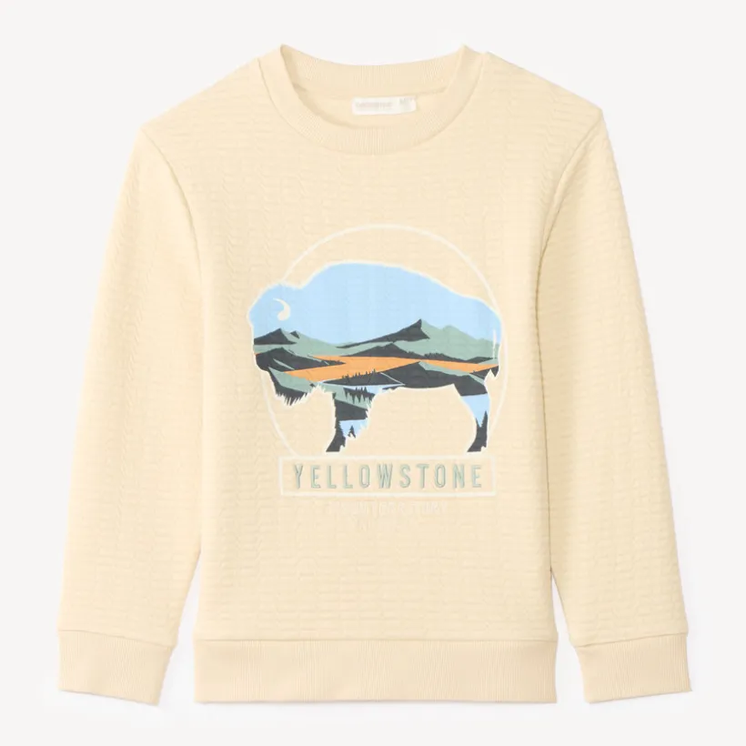 Sweat voor jongens in textuurgebreide stof met fantasieprint