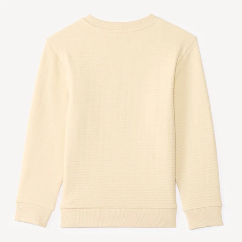 Sweat voor jongens in textuurgebreide stof met fantasieprint