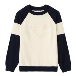 Trui met colourblock effect Superman Warner jongens