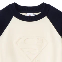 Trui met colourblock effect Superman Warner jongens