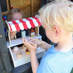 Tryco houten ijsjeskraam met fijne motoriek