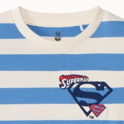 T-shirt met korte mouwen, blauw gestreept, met Superman Warner borduursel jongens