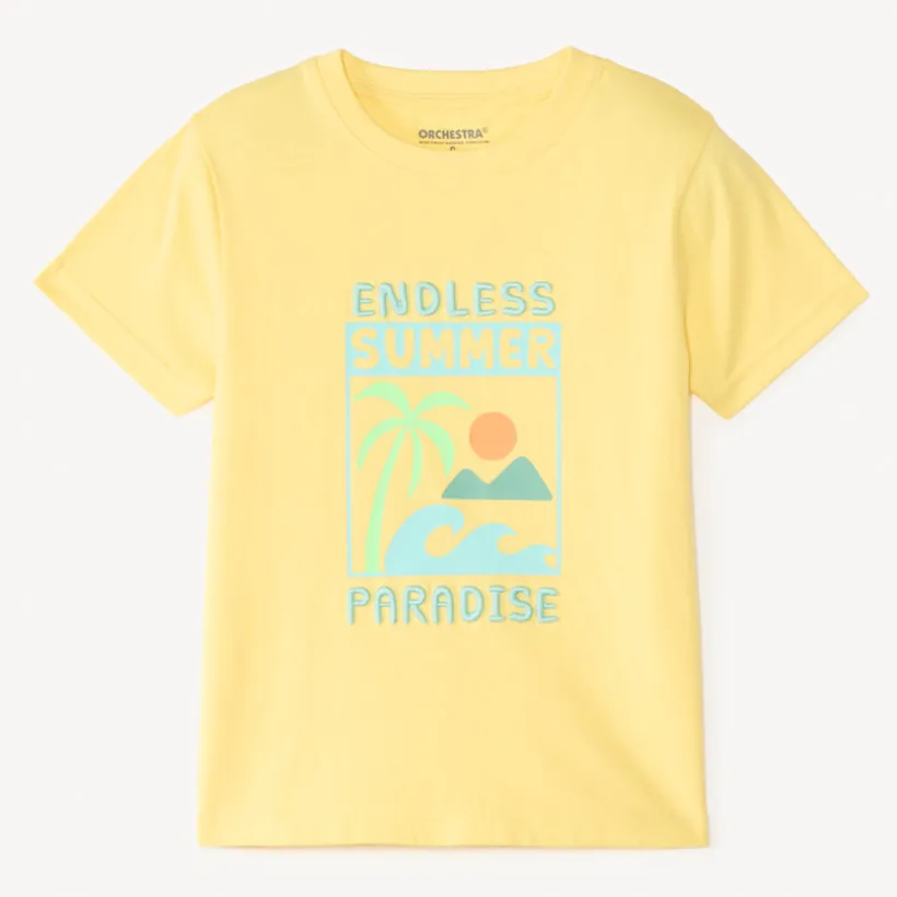 T-shirt met korte mouwen, effen met een zomerse fantasiedruk en borduurwerk jongens