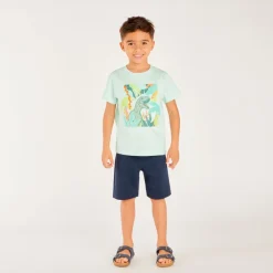 T-shirt met korte mouwen, fantasiedruk en velours patch jongens