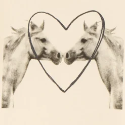 T-shirt met korte mouwen met fotoprint van paarden meisjes
