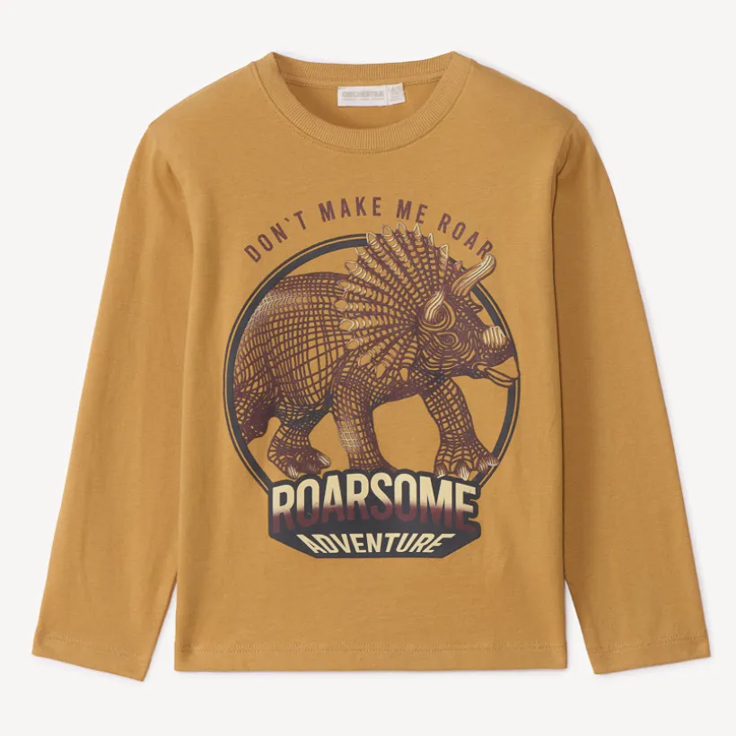 T-shirt met lange mouwen en dinosaurusprint jongens