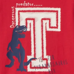 T-shirt met lange mouwen en fantasieprint jongens