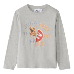 T-shirt met lange mouwen, met fantasierijke dinosaurusprint jongens