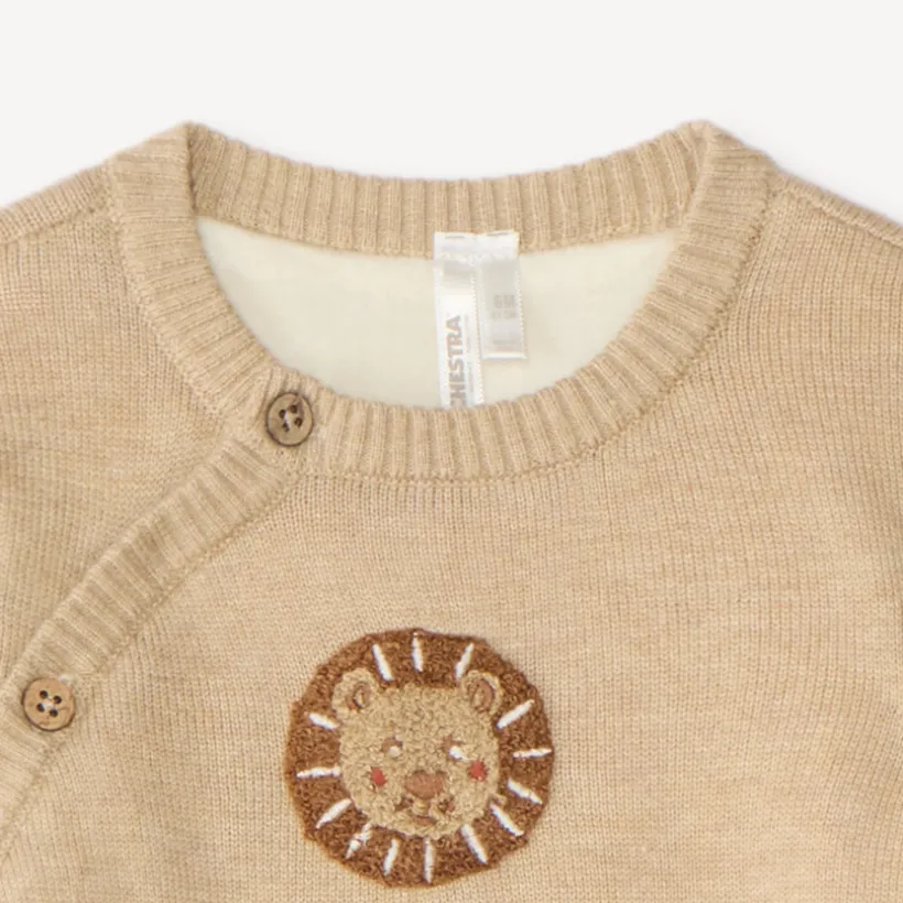 Tweedelige set met trui en broek voor babyjongen met leeuwenmotief