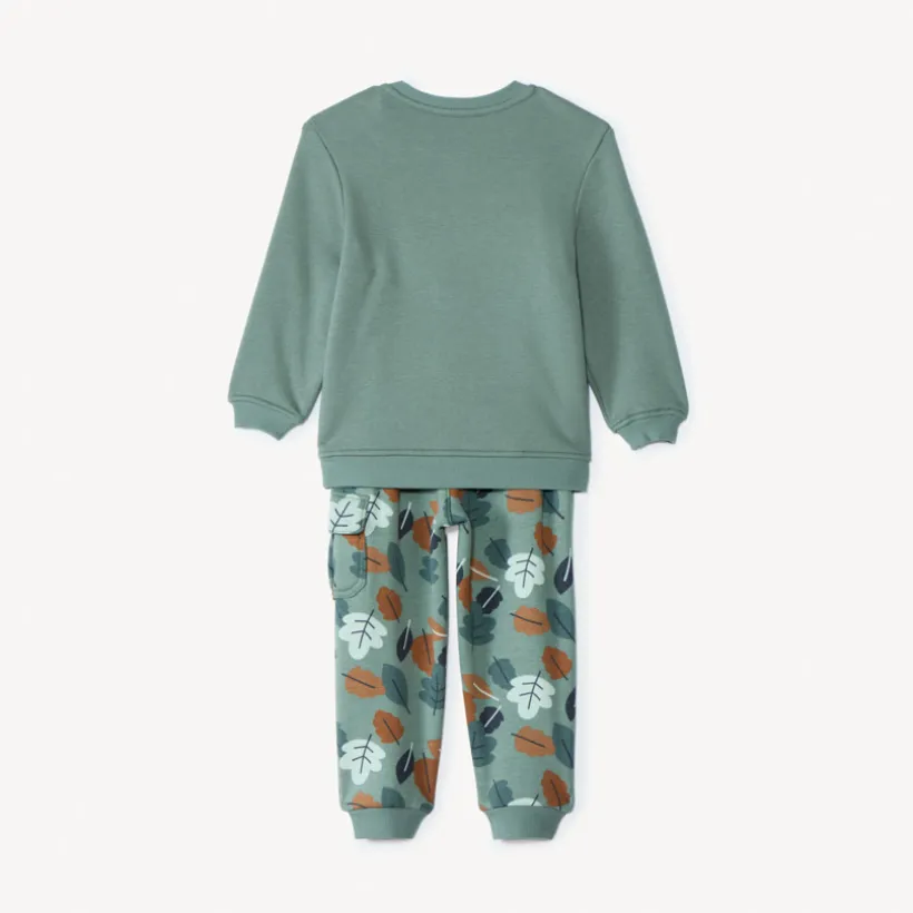 Tweedelig joggingensemble in sherpa-fleece voor babyjongens, groen