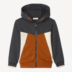 Vest met lange mouwen, colourblock-effect en kap voor jongens