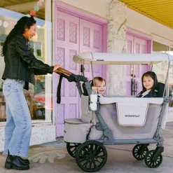 Wandelwagen Bollerwagen L2 Grijs